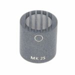 Schoeps MK 2 S Omni Análisis: Opinión honesta sobre el sonido