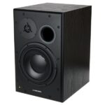 Dynaudio BM15A left Análisis: Probando la fiabilidad en la mezcla